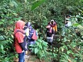 Tn 0996 IMG20151107151356